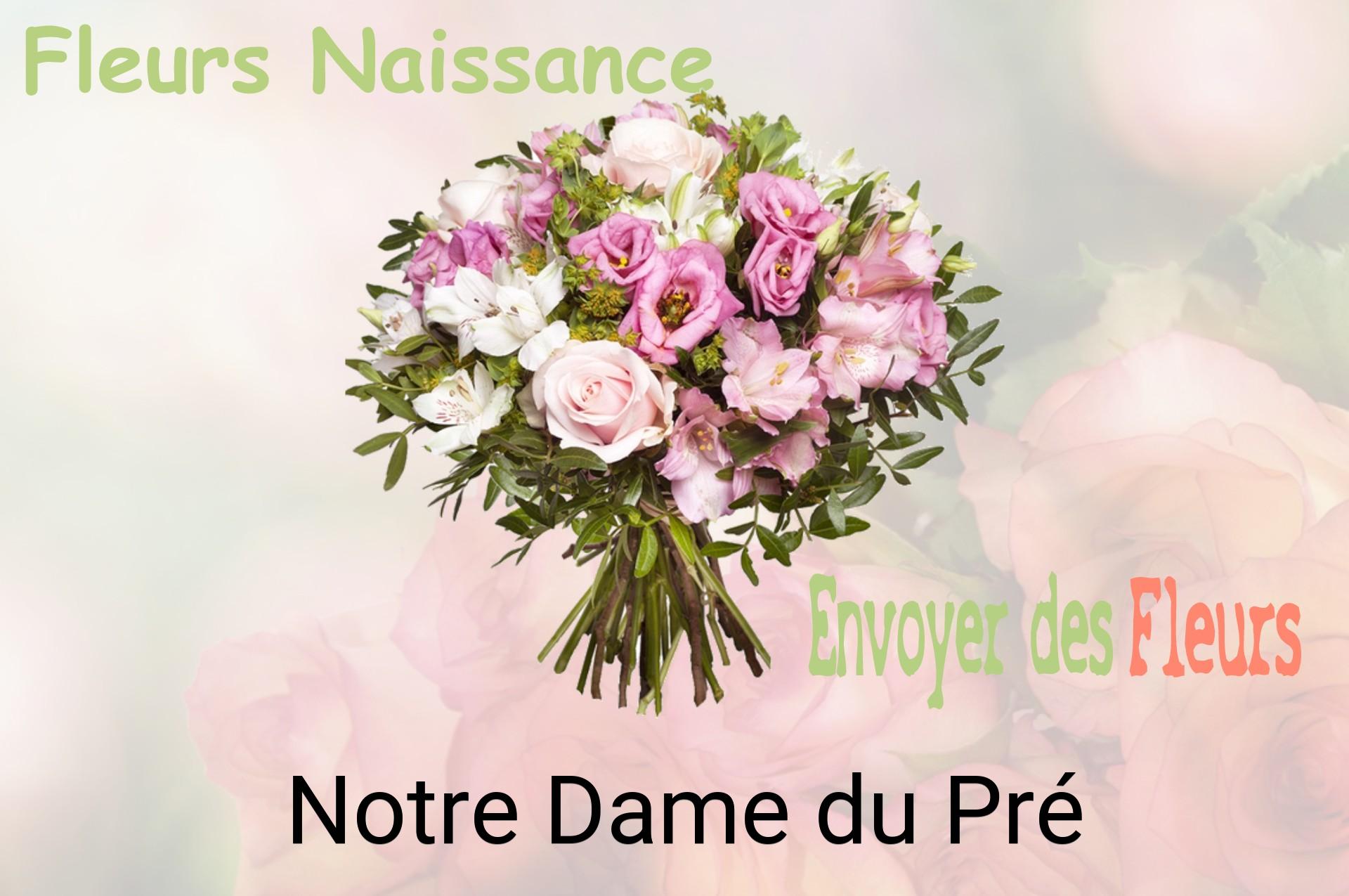 Bouquet de fleurs de naissance livré à Notre-Dame-du-Pré